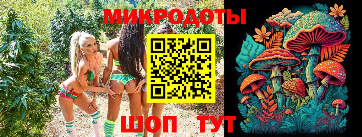 Галлюциногенные грибы ЛСД Кандалакша