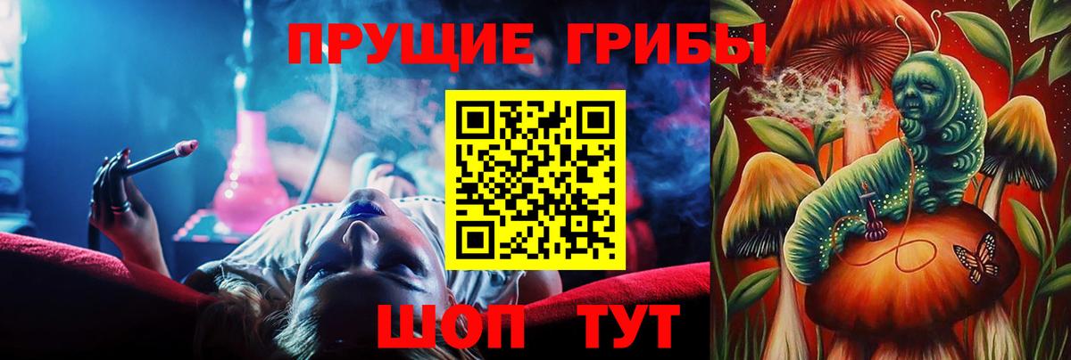 Галлюциногенные грибы GOLDEN TEACHER  Вход с VPN  купить наркоту  Галлюциногенные грибы мухоморы  Кандалакша 
